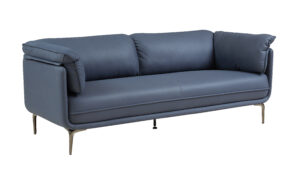 AJXP237 3S DBLUV (1)